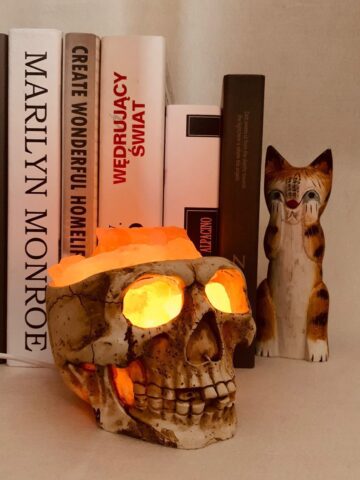 Skull Salt Lamp